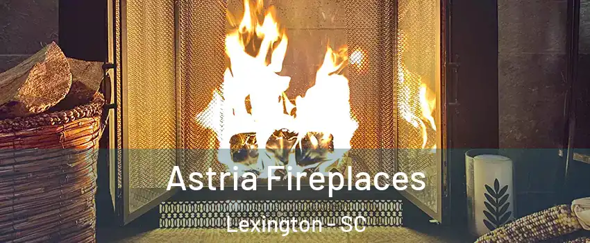  Astria Fireplaces Lexington - SC