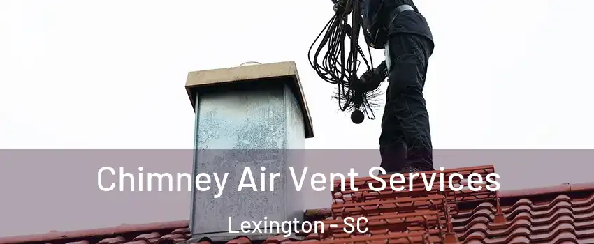  Chimney Air Vent Services Lexington - SC