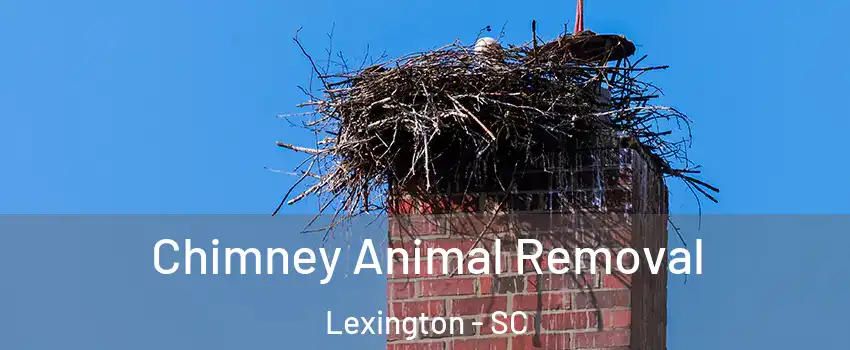  Chimney Animal Removal Lexington - SC