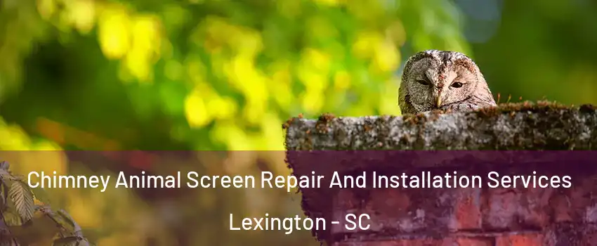  Chimney Animal Screen Repair And Installation Services Lexington - SC