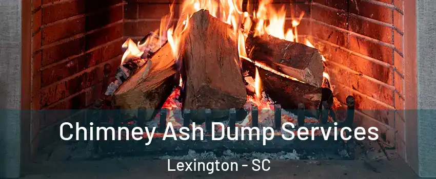  Chimney Ash Dump Services Lexington - SC