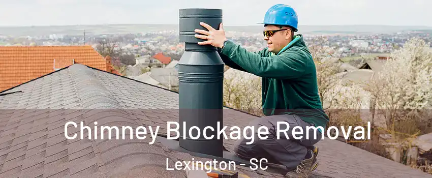  Chimney Blockage Removal Lexington - SC