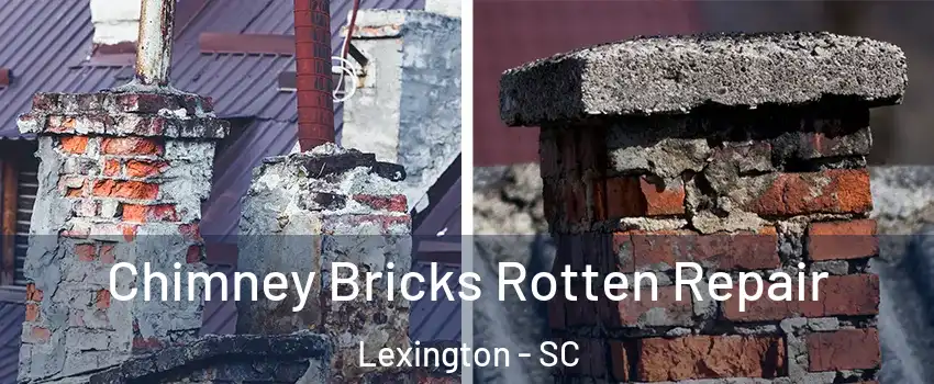  Chimney Bricks Rotten Repair Lexington - SC