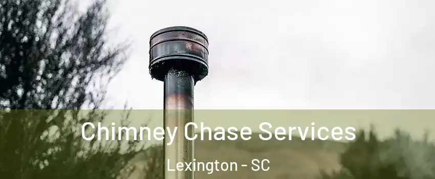  Chimney Chase Services Lexington - SC