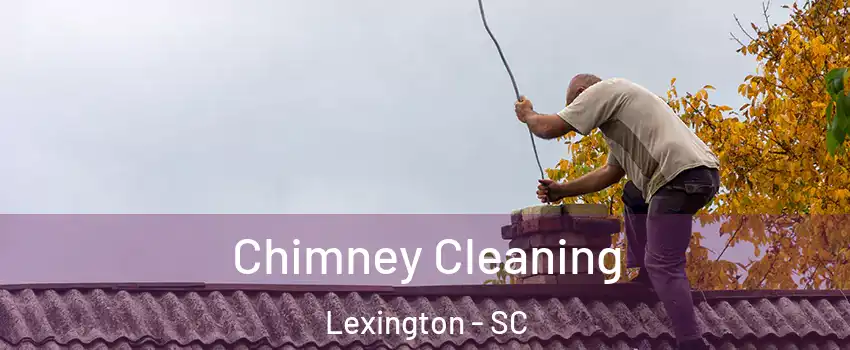  Chimney Cleaning Lexington - SC