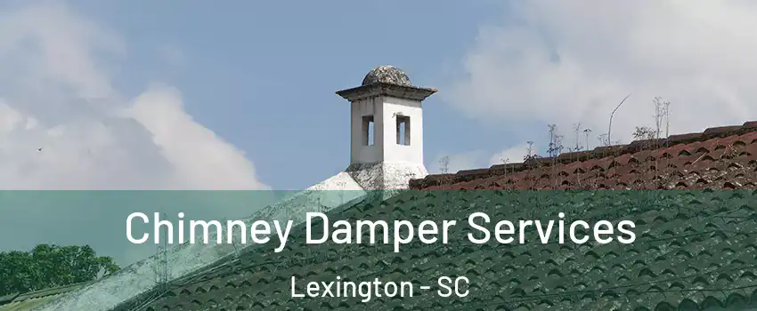  Chimney Damper Services Lexington - SC