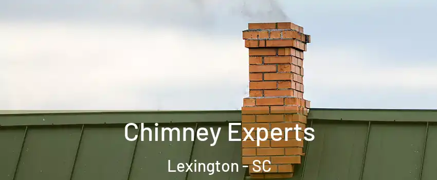  Chimney Experts Lexington - SC