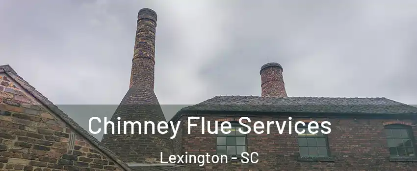  Chimney Flue Services Lexington - SC