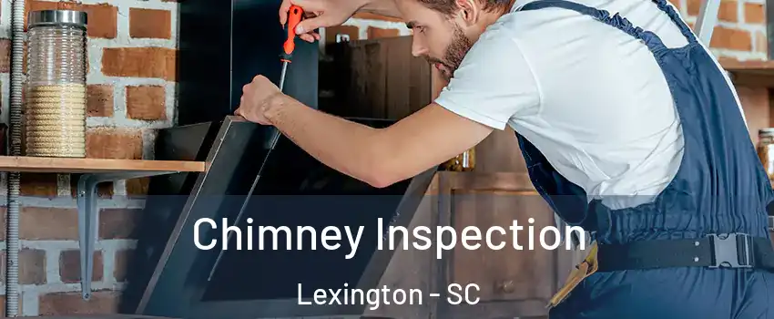  Chimney Inspection Lexington - SC