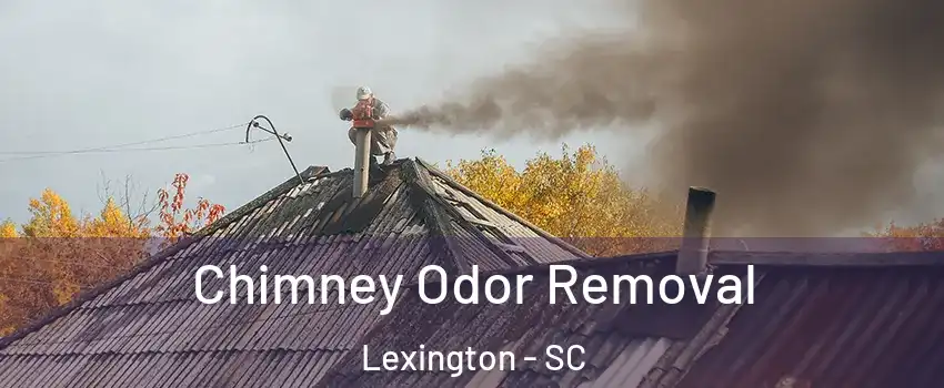  Chimney Odor Removal Lexington - SC