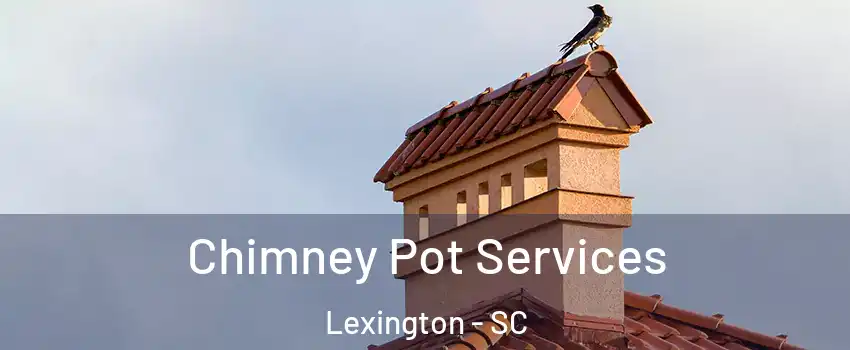  Chimney Pot Services Lexington - SC