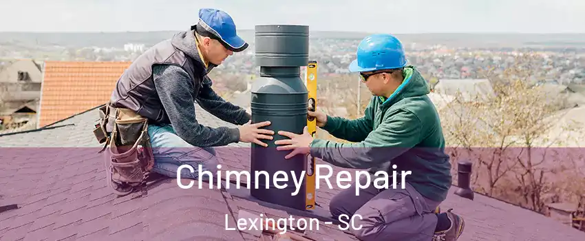  Chimney Repair Lexington - SC
