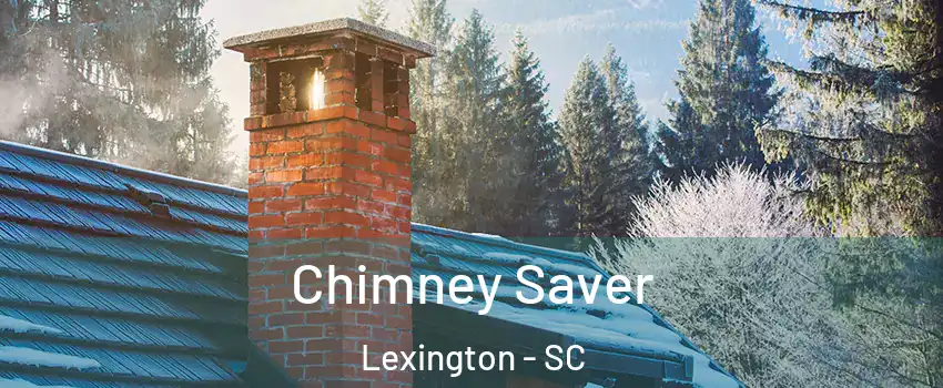  Chimney Saver Lexington - SC