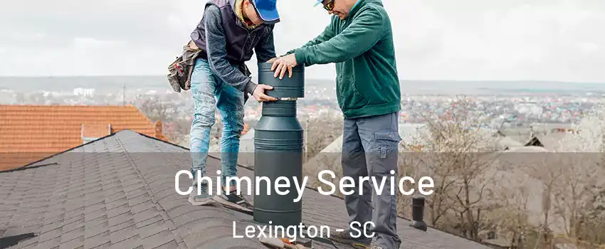  Chimney Service Lexington - SC