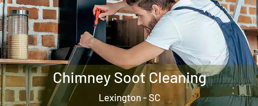  Chimney Soot Cleaning Lexington - SC