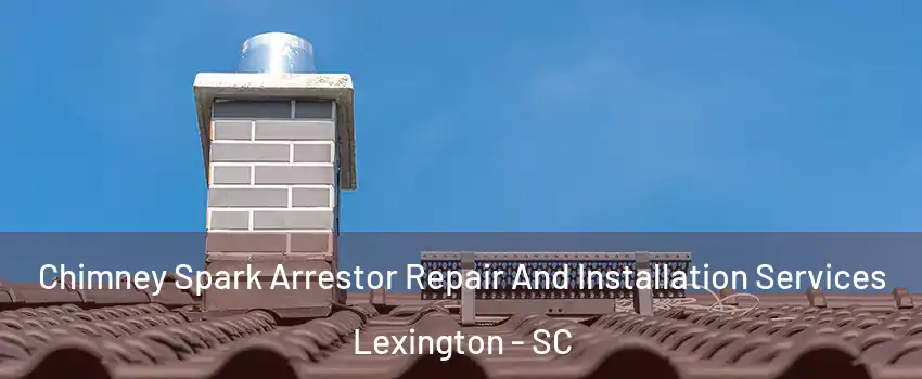  Chimney Spark Arrestor Repair And Installation Services Lexington - SC
