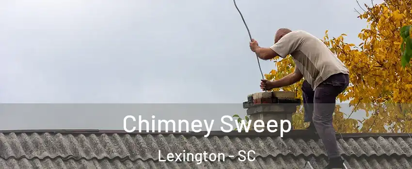  Chimney Sweep Lexington - SC