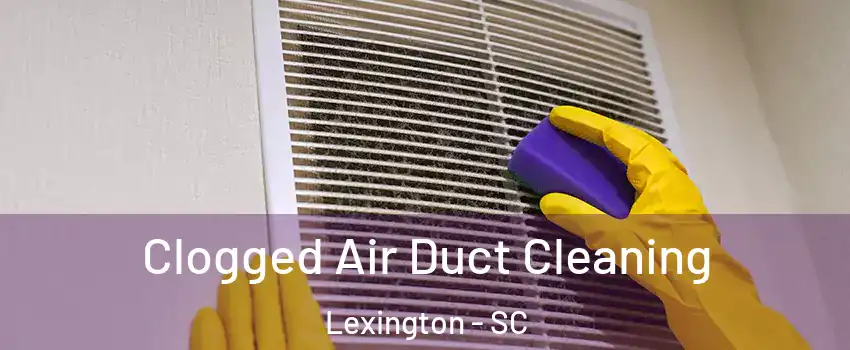  Clogged Air Duct Cleaning Lexington - SC