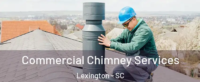  Commercial Chimney Services Lexington - SC