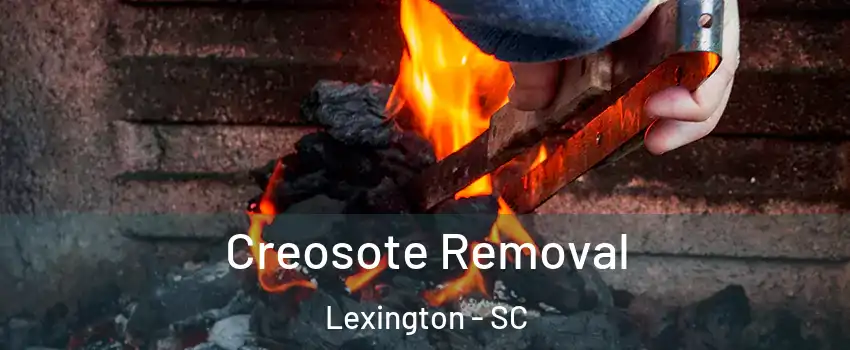  Creosote Removal Lexington - SC