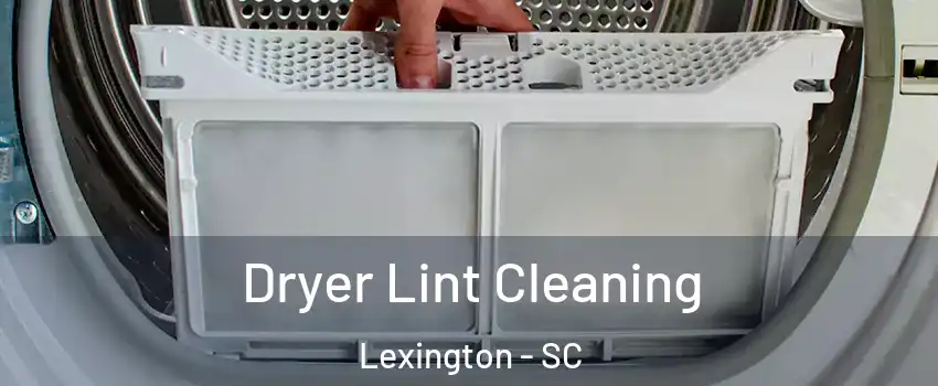  Dryer Lint Cleaning Lexington - SC