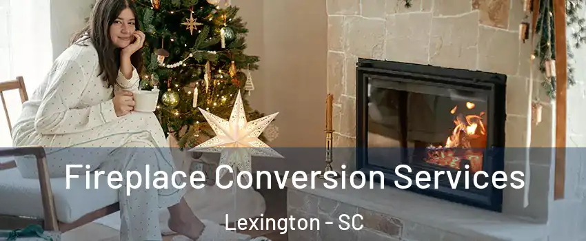  Fireplace Conversion Services Lexington - SC