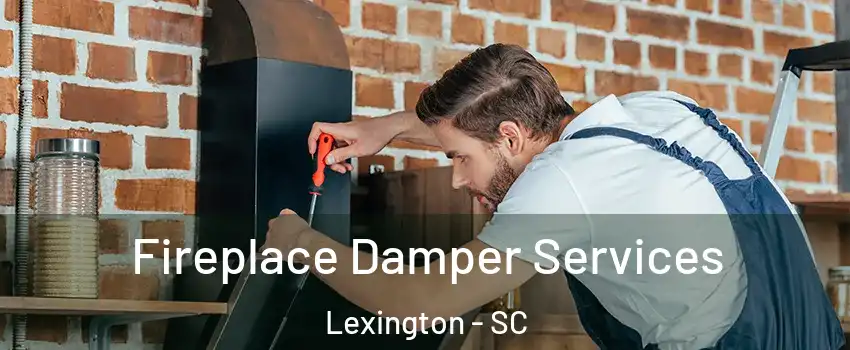  Fireplace Damper Services Lexington - SC