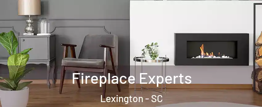  Fireplace Experts Lexington - SC
