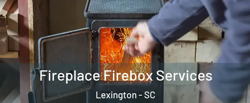  Fireplace Firebox Services Lexington - SC