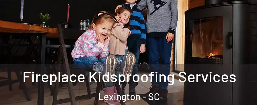  Fireplace Kidsproofing Services Lexington - SC