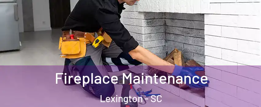  Fireplace Maintenance Lexington - SC