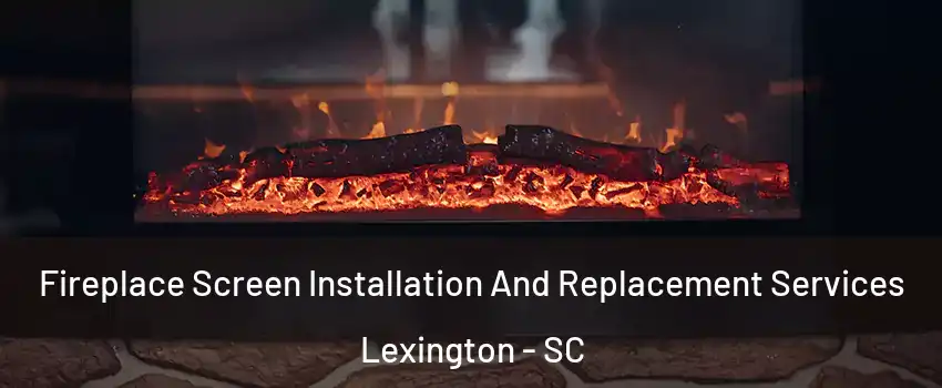  Fireplace Screen Installation And Replacement Services Lexington - SC