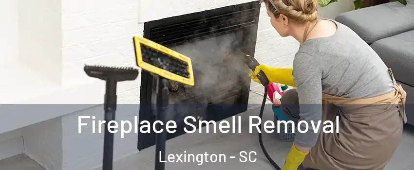  Fireplace Smell Removal Lexington - SC