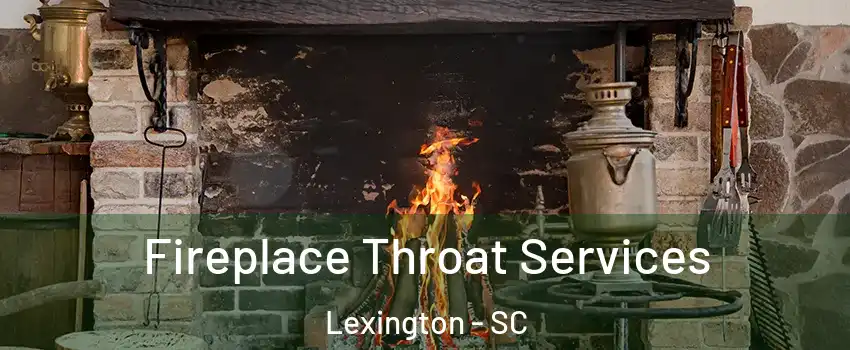  Fireplace Throat Services Lexington - SC
