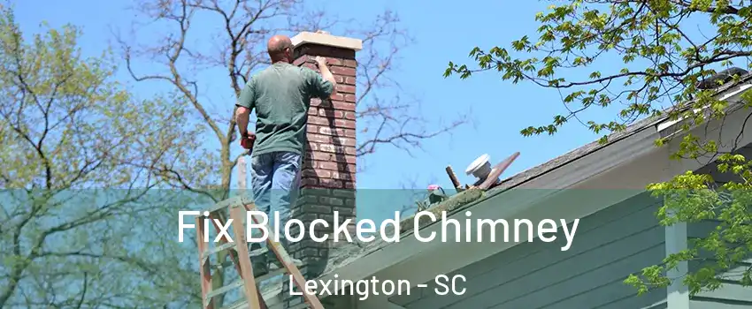  Fix Blocked Chimney Lexington - SC