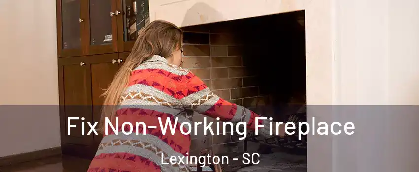  Fix Non-Working Fireplace Lexington - SC