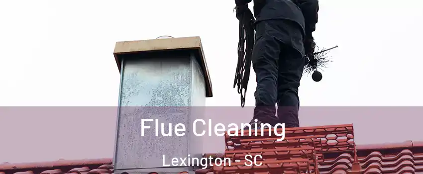  Flue Cleaning Lexington - SC