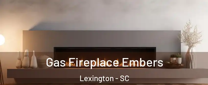  Gas Fireplace Embers Lexington - SC