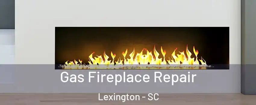  Gas Fireplace Repair Lexington - SC