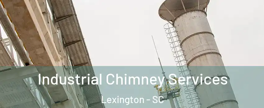  Industrial Chimney Services Lexington - SC