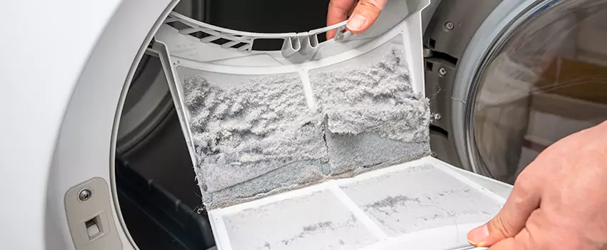 Best Dryer Lint Removal Company in Lexington, South Carolina