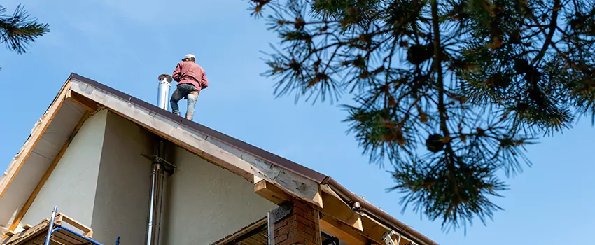 Birds Removal Contractors from Chimney in Lexington, SC