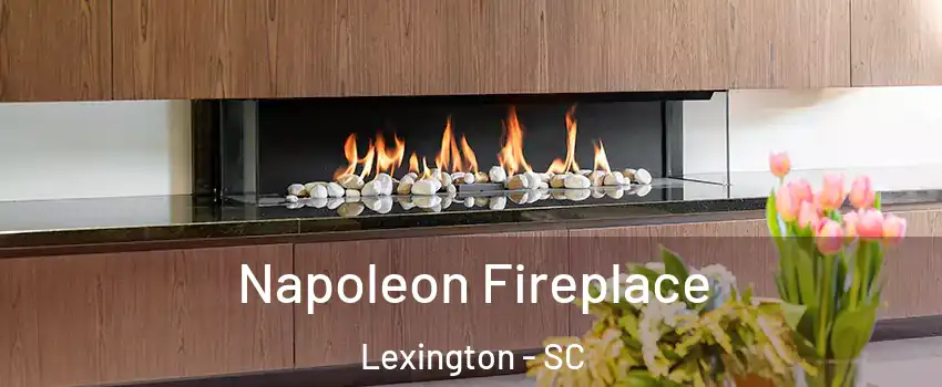  Napoleon Fireplace Lexington - SC