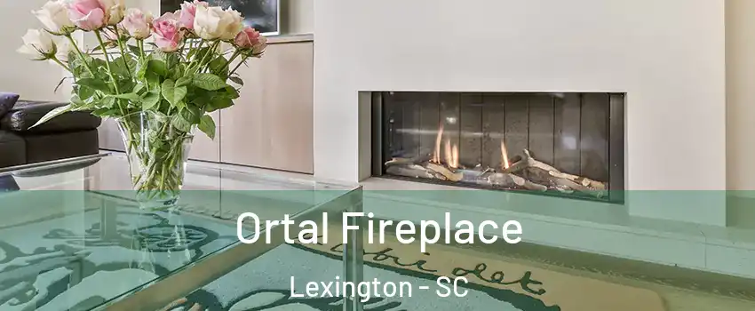  Ortal Fireplace Lexington - SC