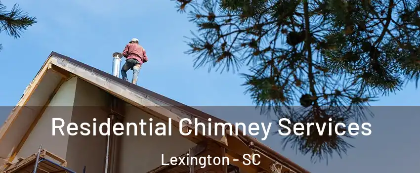  Residential Chimney Services Lexington - SC