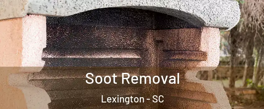  Soot Removal Lexington - SC