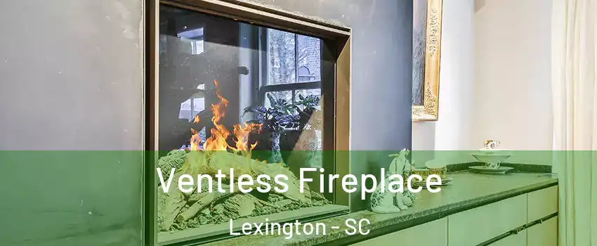  Ventless Fireplace Lexington - SC