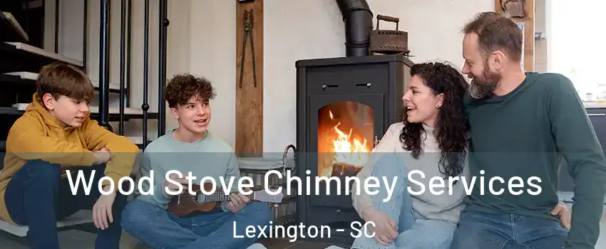  Wood Stove Chimney Services Lexington - SC